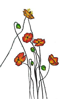 簡(jiǎn)筆畫植物花卉系列 多彩多姿的虞美人