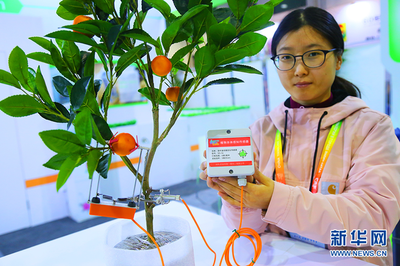 在“中國農科城”看農業新圖景 新型智慧農業管理模式賦能花卉產業升級